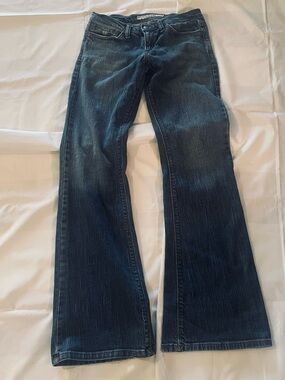 JOE’S JEANS MAYFIELD Flair Leg Size 26